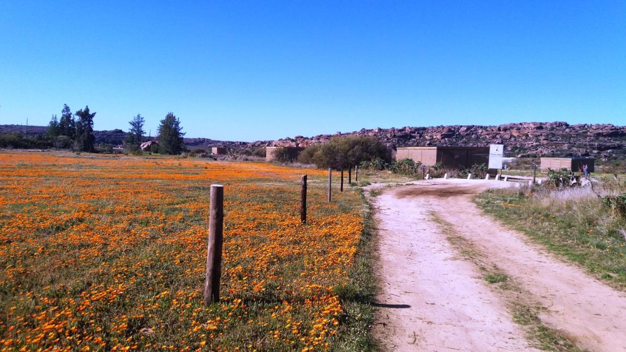 Alpha Excelsior Guest Farm Villa Clanwilliam Exterior photo