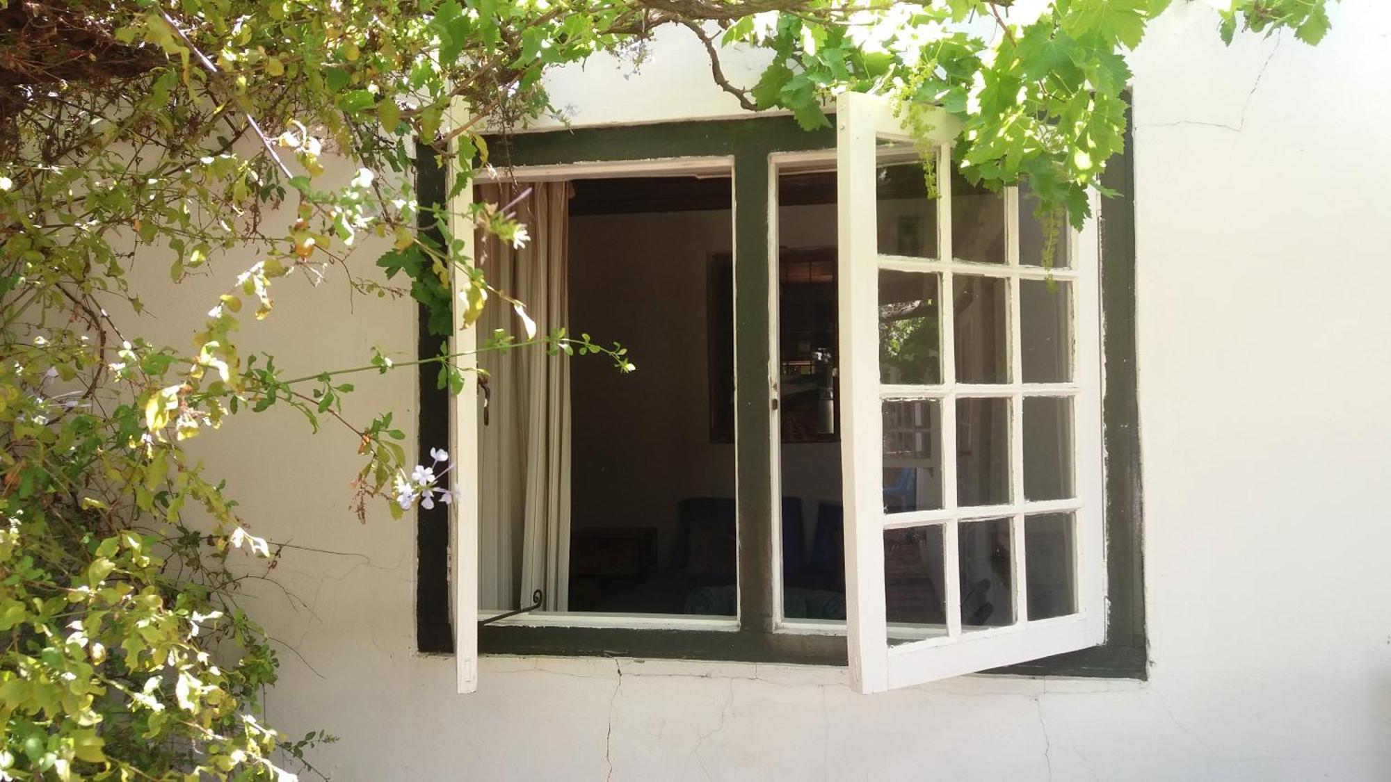 Alpha Excelsior Guest Farm Villa Clanwilliam Room photo